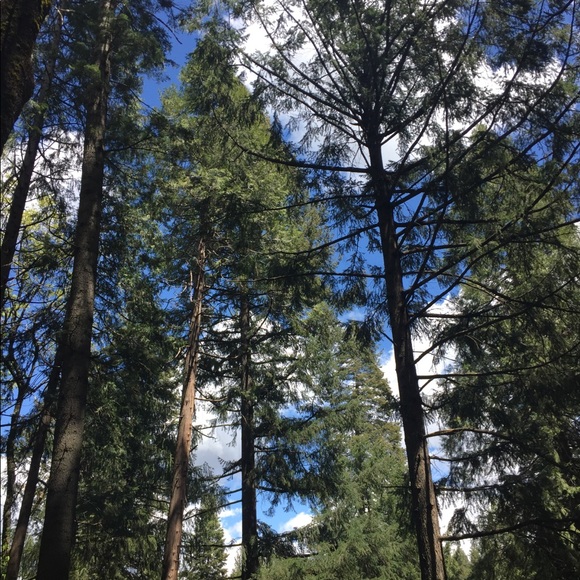 Nue Options cotton knee length  white lace skirt - Picture 11 of 12